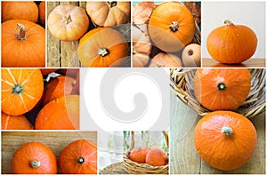 Collage set of photos with different kinds of pumpkins at market patch on wood in wicker basket. Thanksgiving autumn fall harvest