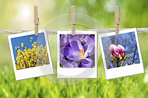 Collage spring time background template
