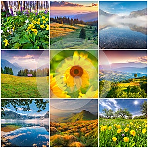 Collage with 9 square summer landscapes.