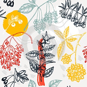 Collage style botanical background. Hand-sketched medicinal herbs, weeds, berries, leaves backdrop. Perfect for brands, label,