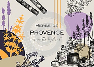 Collage-style Provence herbs background. Herbal plant sketch, hand drawn vector illustrations. Artistic frame for cosmetics