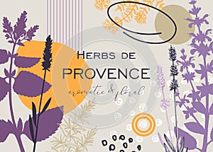 Collage-style Provence herbs background. Herbal plants hand drawn vector illustrations. Artistic frame with sage, pepper mint,