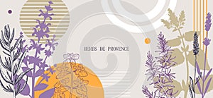 Collage-style Provence herbs background. Herbal plants hand-drawn vector illustrations. Artistic frame with sage, peppermint,