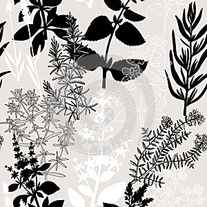 Collage-style Provence herbs background. Herbal plants hand-drawn vector illustrations. Seamless pattern with sage, peppermint,