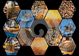 Collage on the theme of beekeeping
