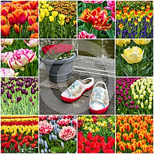 collage - tulips and Dutch garden shoes in Keukenhof park, Netherlands, Holland.