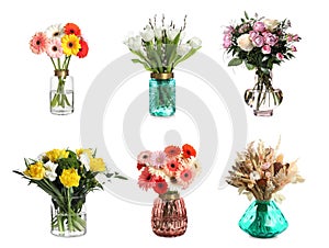 Collage with various beautiful flowers in glass vases on white background