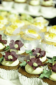 Of various cupcakes chocolate in decorative cup