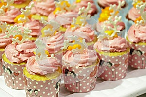 Collage of various cupcakes strawberry in decorative cup