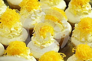 Collage of various cupcakes: vanilla in decorative cup