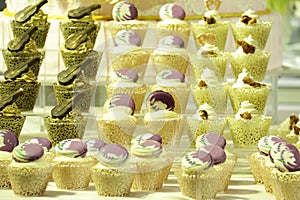 Collage of various cupcakes: vanilla in decorative cup