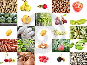 collage of a various fruits and vegetables