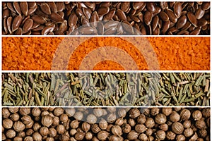 Collage of various spice seeds. Flax and breadcrumbs, rosemary and coriander. Macro photography