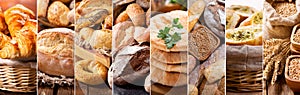 Collage of various types of fresh bread