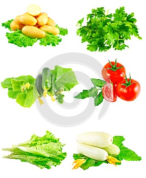 Collage of vegetables on white background.