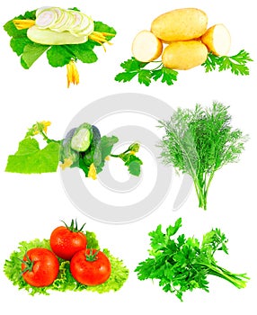 Collage of vegetables on white background.