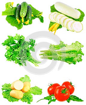 Collage of vegetables on white background.