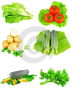 Collage of vegetables on white background.