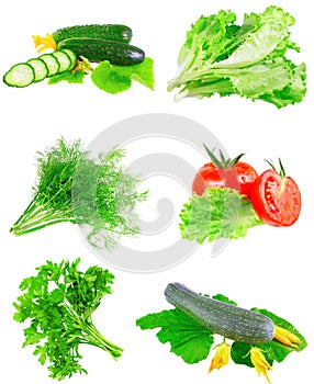 Collage of vegetables on white background.