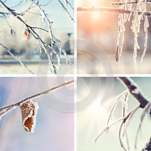 Collage of winter nature backgrounds