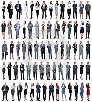 Collage of young business people standing in a row.