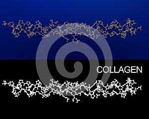 Collagen photo