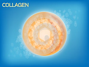 Collagen and cell graphic inside