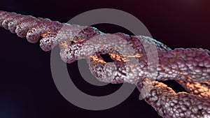 Collagen molecule triple-helical structure 3d rendered illustration photo