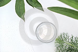 collagen peptides face cream in a white jar next to green leaves, top view. skin care with peptides with anti age and