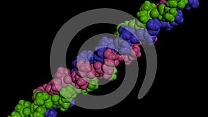 Collagen protein molecule. Molecular model. 3D rendering photo