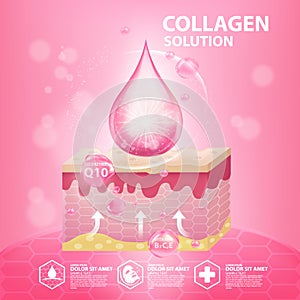 Collagen Serum Cosmetic Skin Care