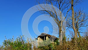 Collapsed house in the Village,lonely tree in the field,