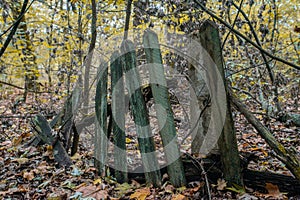 Collapsed old fence in the kindergarten at the abandoned village Kopachi near Chernobyl