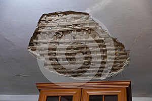 Collapsed plaster from the white ceiling in the interior of an old house