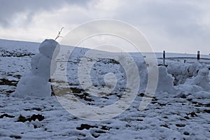 collapsed snow men