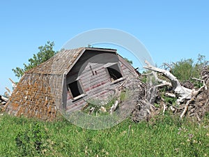 Collapsed wooden farm barn isolated