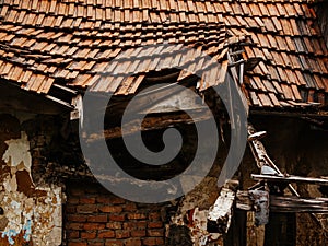 Collapsing Wooden House With A Broken Roof And Crumbling Walls: An Abandoned Rural Structure Overgrown With Greenery And