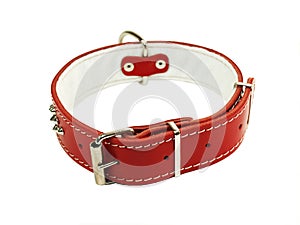 Collar for dog