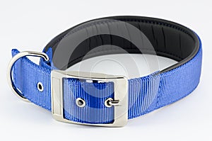 Collar for dog