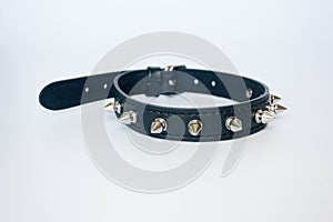 collar with spines. black with