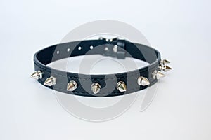 collar with spines. black with spines