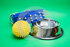 Collar, stainless bowl and rubber toy for pet on green background