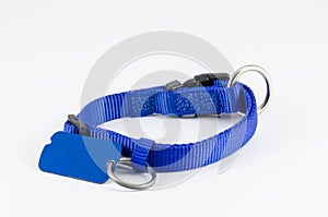 Collar and tag for dog