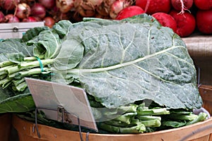 Collard Greens photo