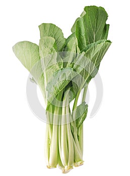 Collard greens leaves on white background