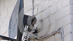 Collared doves setting up home with nest behind satellite dish