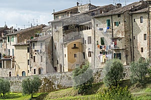 Colle di Val d'Elsa (Tuscany) photo