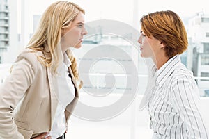 Colleagues in an argument at office photo