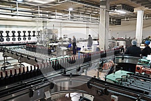 Colleagues working in the bottling plant at a wine factory