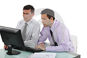 Colleagues working together